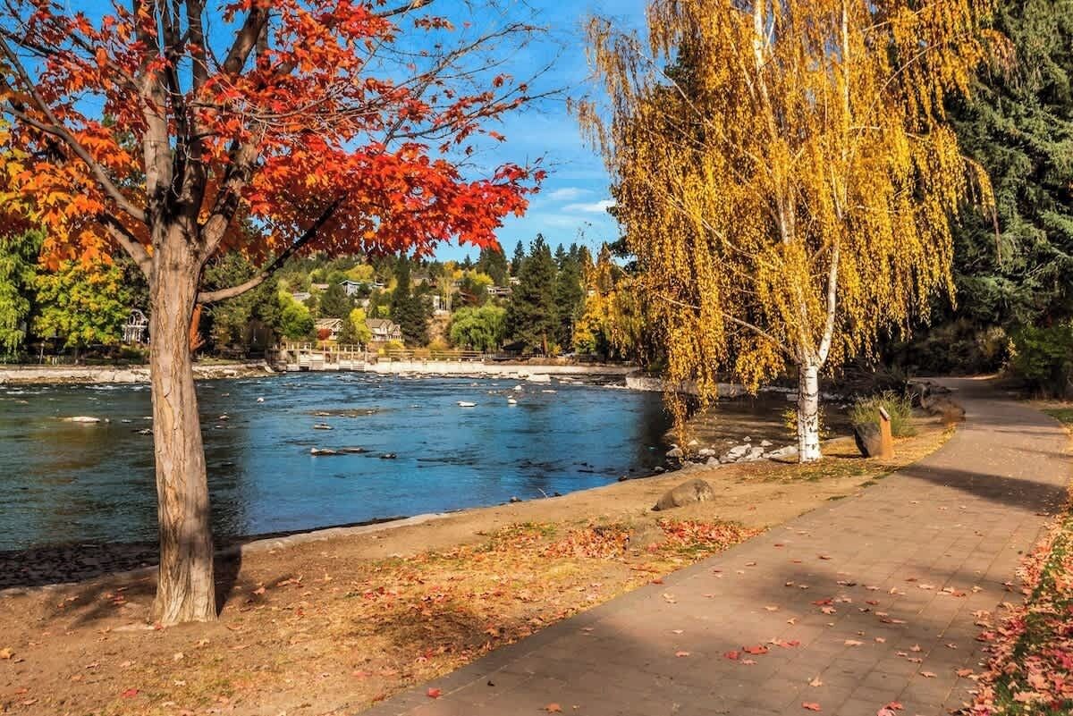 A serene park with a pond, trees with autumn foliage, and a paved walkway.