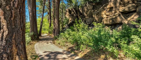 Overnatningsstedets område