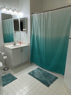 Combined shower/tub, hair dryer, towels, toilet paper