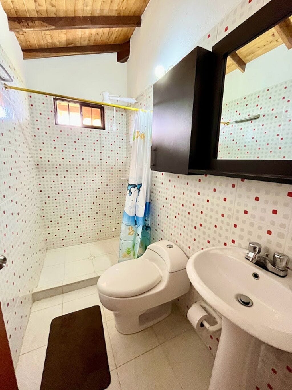 Shower, toilet paper