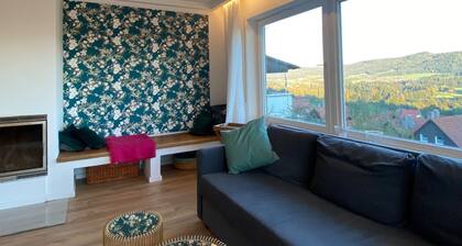 Vacation apartment Traumblick - with a fantastic view of the Bregenz Bay