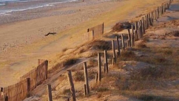 Ein Strand mit einer hölzernen Uferbefestigung.