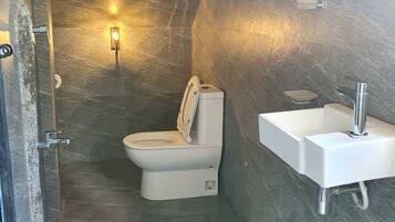 Shower, bidet, towels, soap