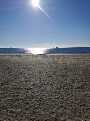 Playa en los alrededores 