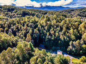 A forested area with a small building surrounded by trees.