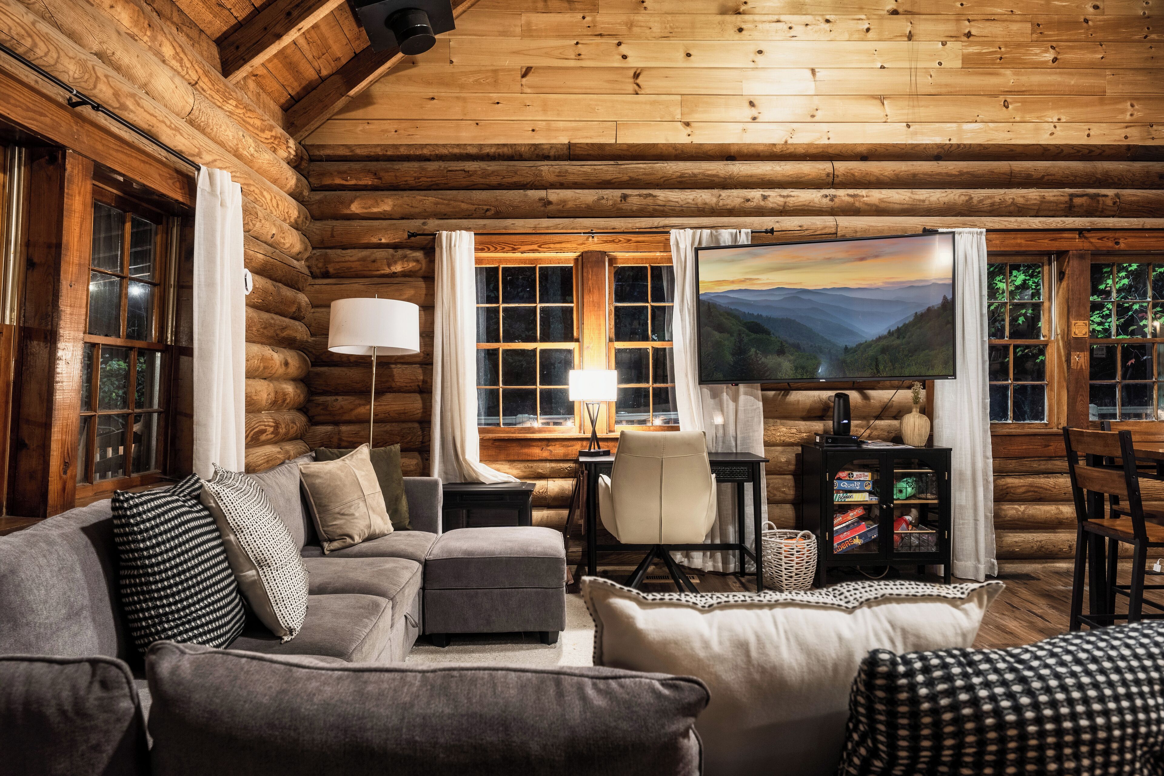 Smart TV, fireplace, books