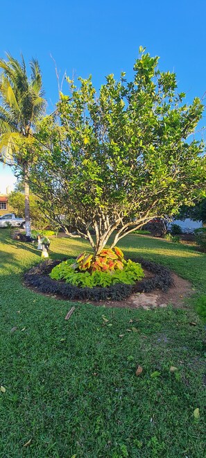 Terrace/patio - Hotel Quinta Izamal (Izamal)