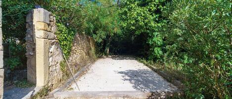 A stone structure with a narrow pathway leading through dense foliage.