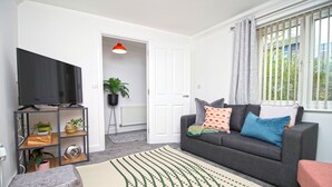 A living room with a grey sofa, a flat-screen TV, a patterned rug, and a potted plant.