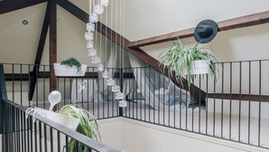 Ảnh chưa phân loại, 4 trong số 50 ảnh, nút
