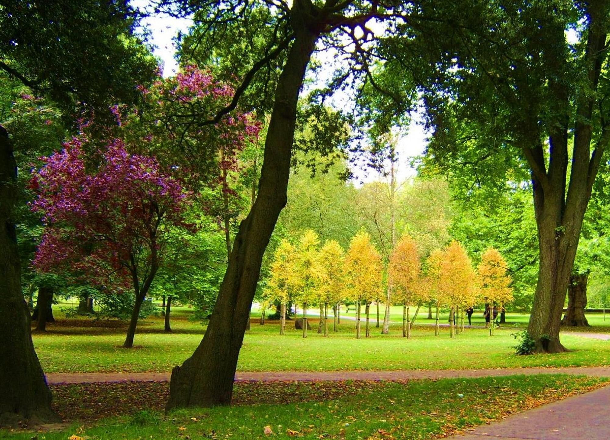 A park with trees, a pathway, and grass.