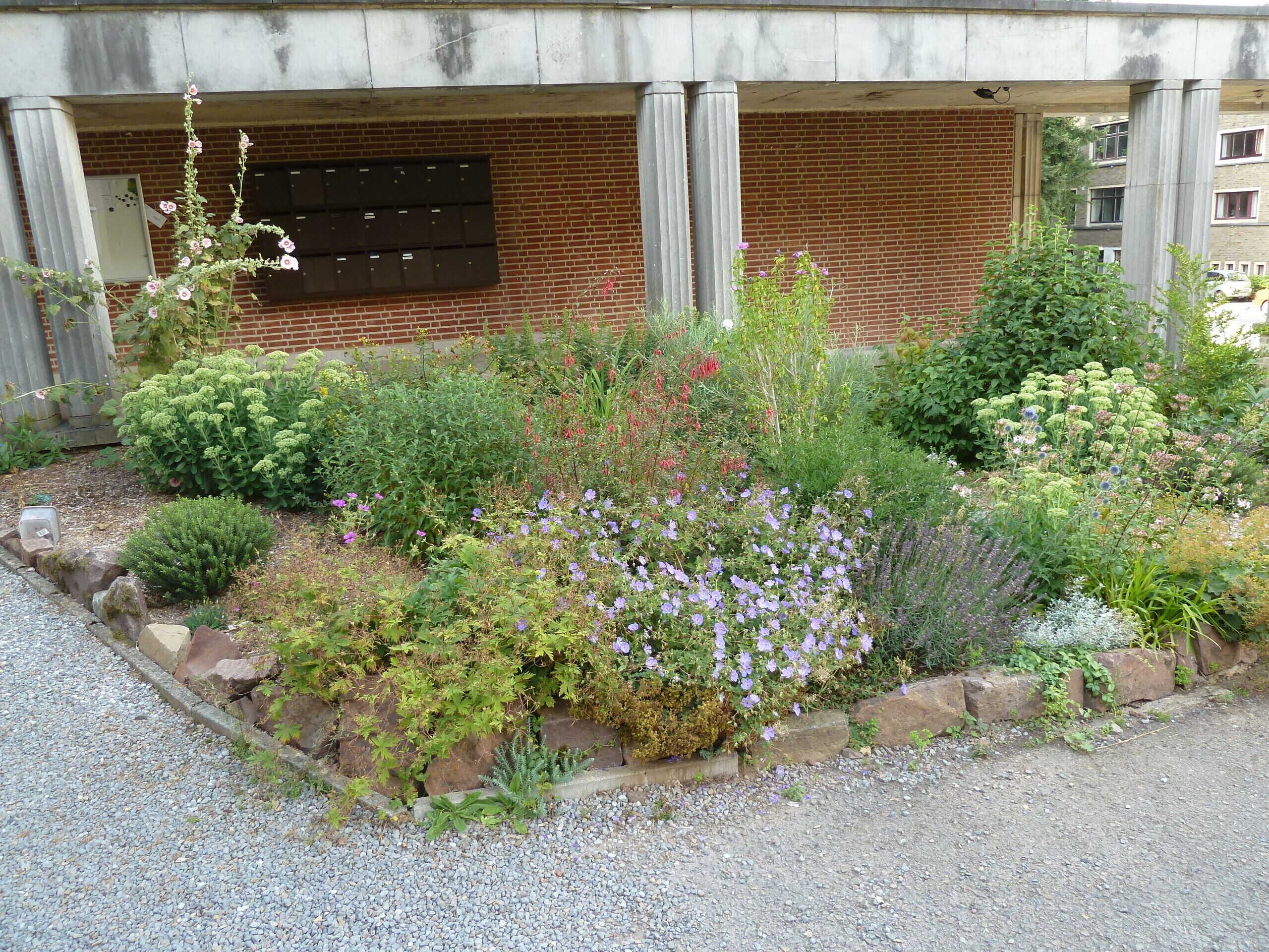 Terrein van de accommodatie