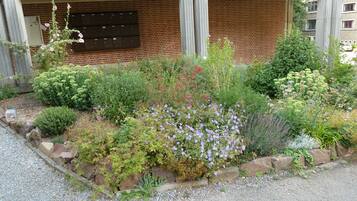 Terrein van de accommodatie