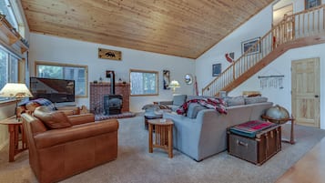 Télévision, cheminée, lecteur de DVD, livres