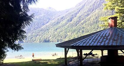 Cozy Cabin Escape Lake Cushman Access + Hiking, Pickleball, Golf. Pet Friendly!