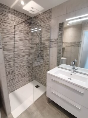 Douche, sèche-cheveux, serviettes fournies, papier toilette