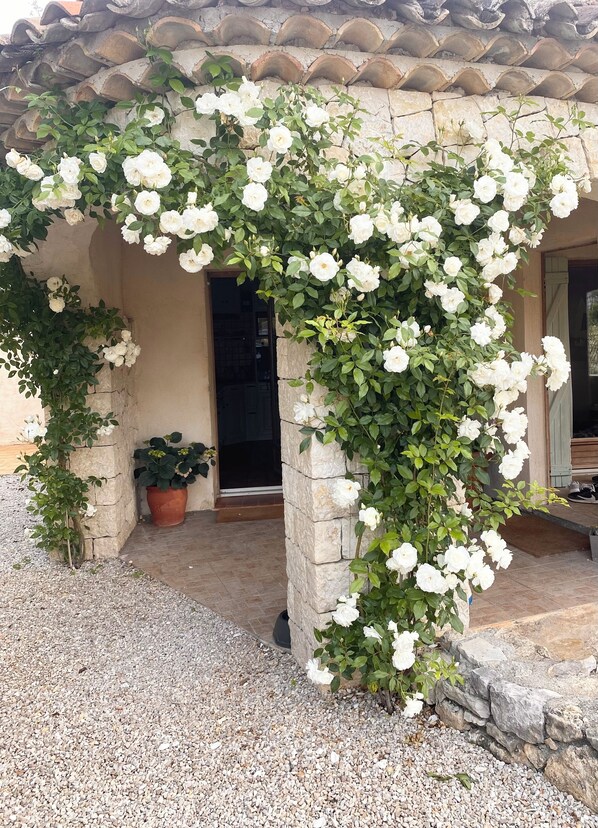 تفاصيل الفندق من الخارج