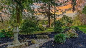 Un jardín con una fuente de piedra, arbustos variados y un banco de madera.