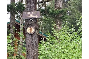 Explore the Lost Lake Trail from this trailhead sign, leading to a serene wooded area.