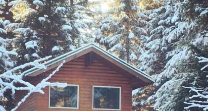 Private Cabin with Open Loft - Sleeps 3-6