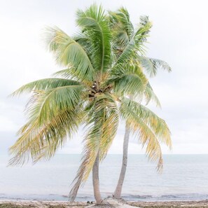 Casa, 5 quartos, vista para o oceano | Praia