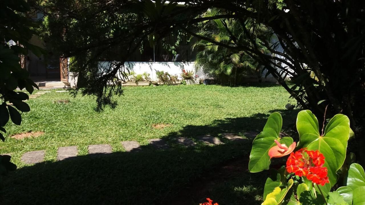 A well-maintained garden with a pathway, lush greenery, and a prominent red flower.