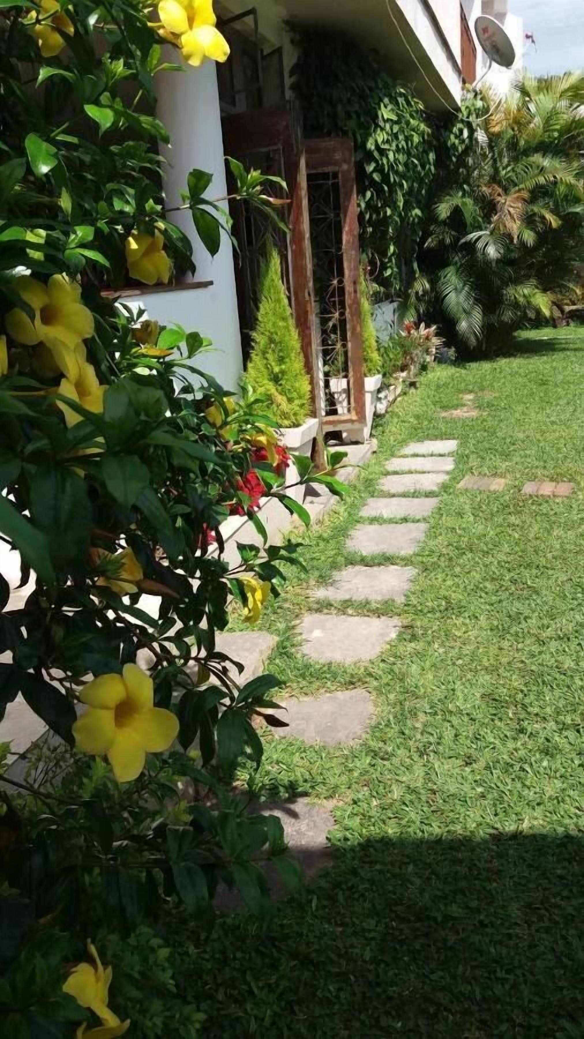 A garden pathway leading to a building with a white exterior and a satellite dish.