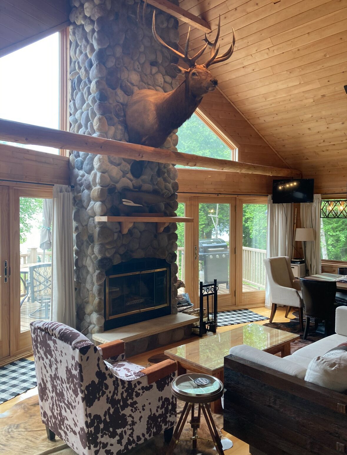 Smart TV, chimenea, reproductor de DVD y estéreo 