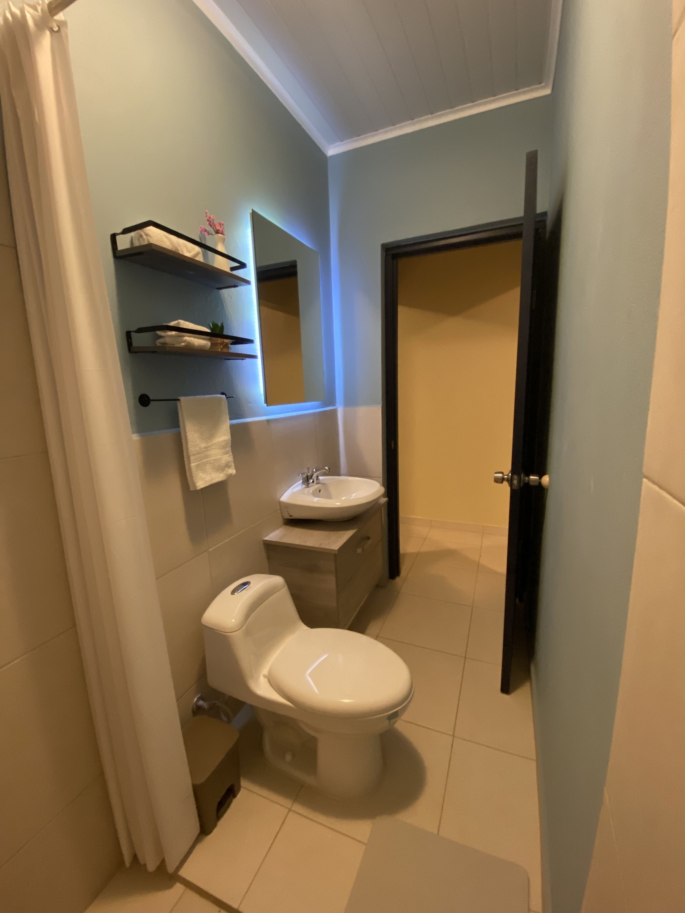 Une petite salle de bain comprenant des toilettes, un lavabo et un miroir au-dessus du lavabo. On y trouve également des étagères avec des serviettes et une petite plante.