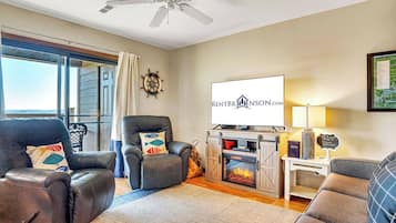 Télévision, cheminée, lecteur de DVD