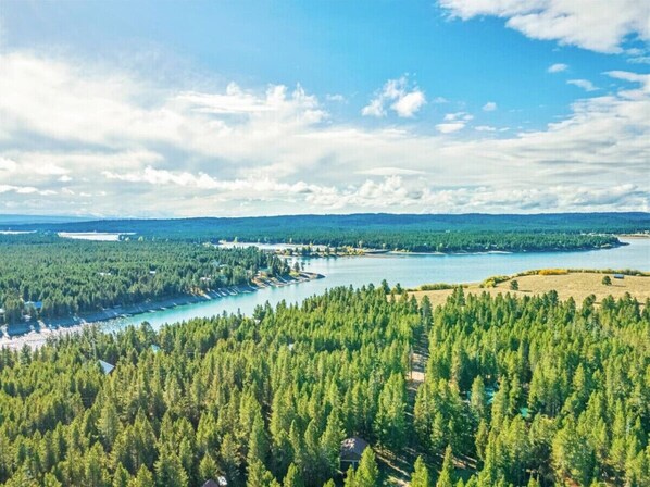 A forested area with a body of water and a distant shoreline.