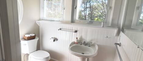 A bathroom with a toilet, sink, and window.