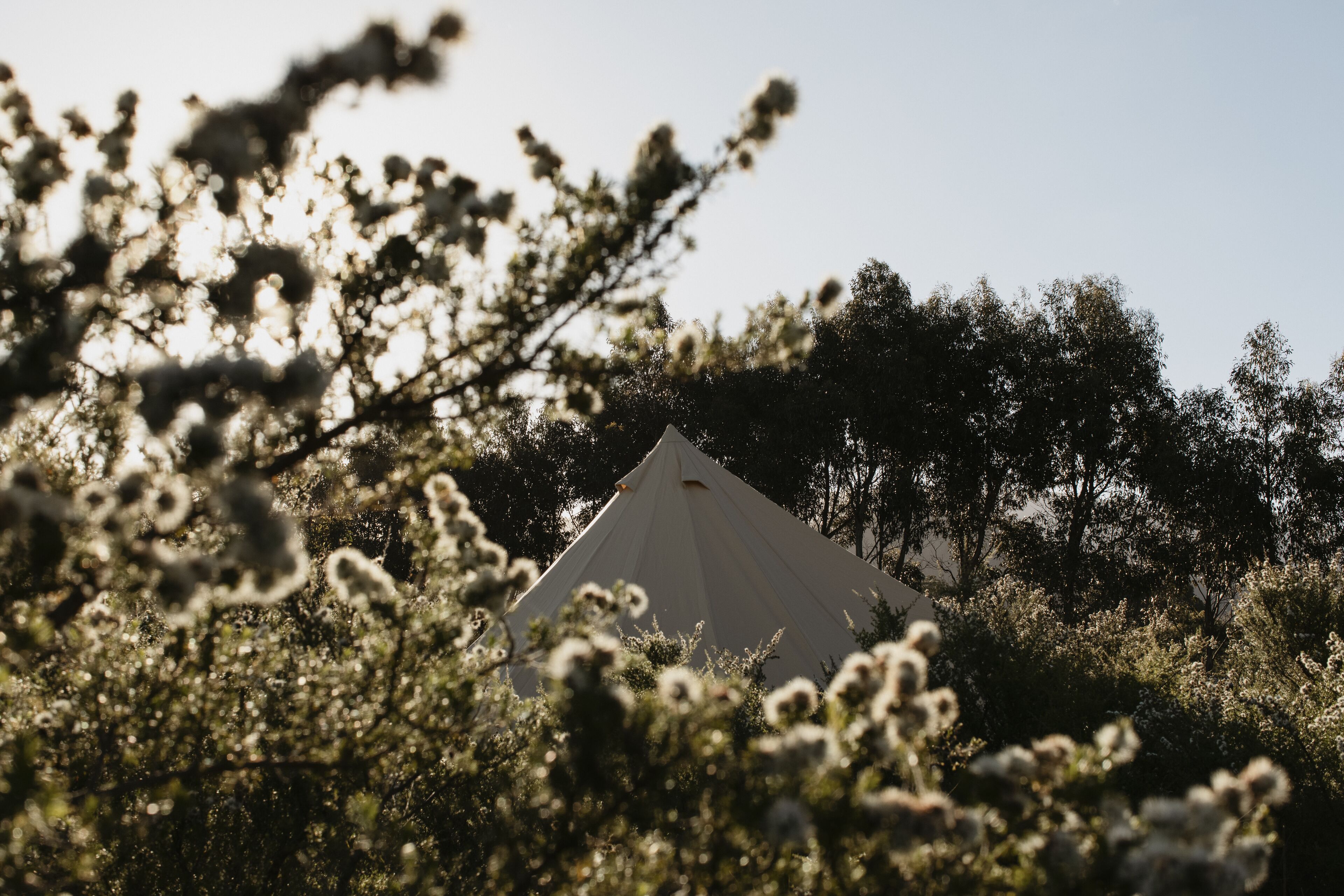 Fancy camping at its best