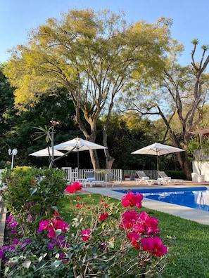 Una piscina al aire libre