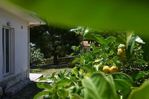 Overnattingsstedets uteområder