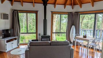 TV, peis og DVD-spiller