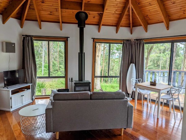 TV, peis og DVD-spiller