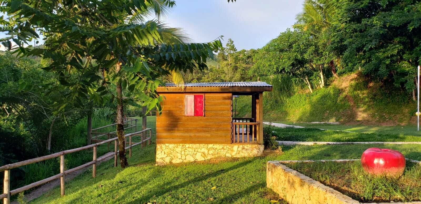 Une petite cabane en bois avec une porte rouge, entourée d’une végétation luxuriante et d’une clôture en bois.