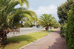 Ein Bürgersteig gesäumt von Palmen und eine Straße mit Autos.