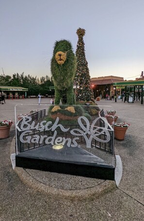 Une enseigne pour Busch Gardens, avec une statue de lion et un sapin de Noël en arrière-plan.