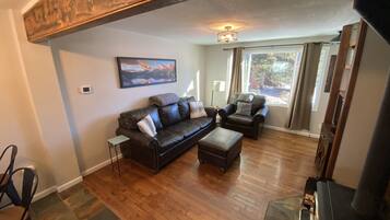 Smart TV, fireplace, books