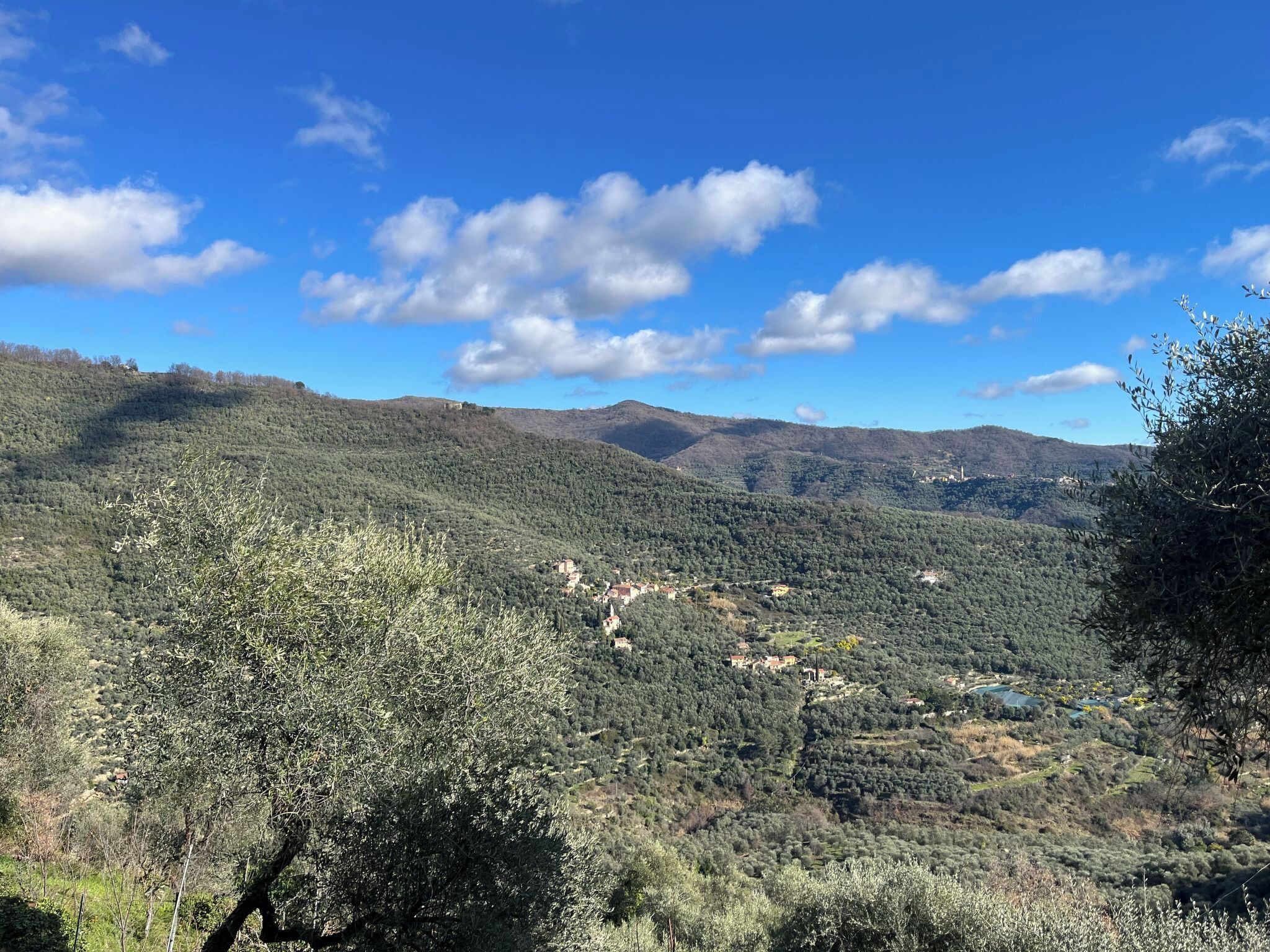 A mountainous landscape with olive groves and scattered buildings.
