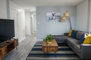 Smart TV, fireplace, books