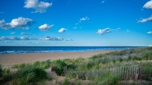 Beachfront Getaway, Dolphin Suite, 🐶 💙