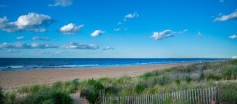 Beachfront Getaway, Dolphin Suite, 🐶 💙
