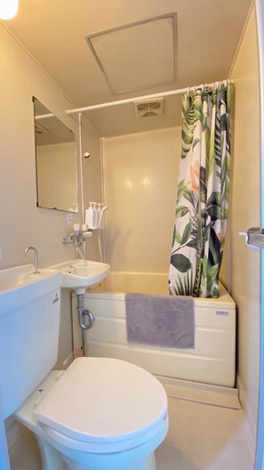 Ensemble baignoire-douche, séchoir à cheveux, serviettes fournies