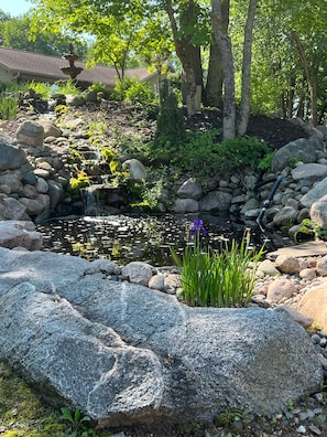 Jardines del alojamiento