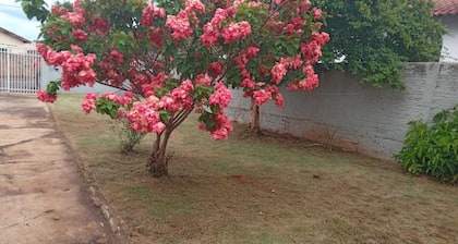 Apartamento 02