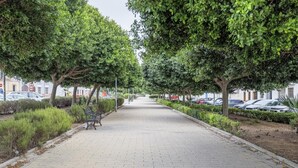 Un vialetto lastricato fiancheggiato da alberi e panchine, che conduce a un'area di parcheggio con auto.