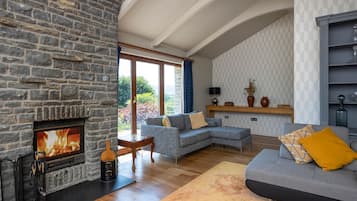 TV, fireplace, DVD player, stereo